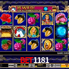 bet1181 São Paulo - All Bonuses